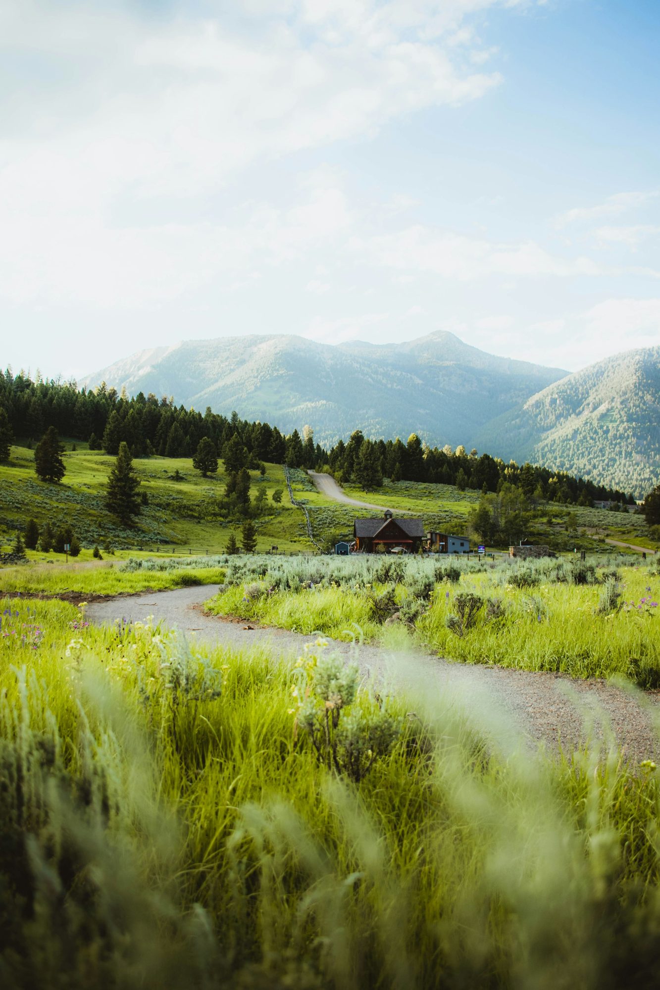 Open Montana land with a creek and mountains